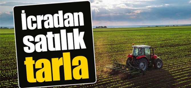 Tunceli Ovacık, Büyükköy Mahallesinde tarla icaradan satılıktır (çoklu satış)