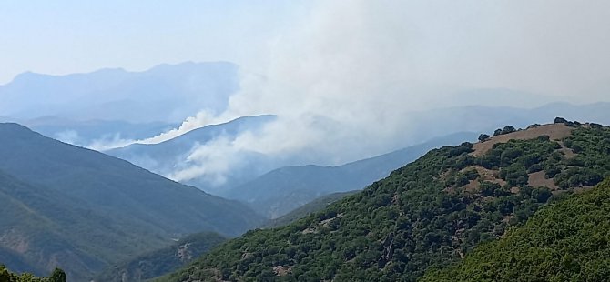 Belediye Başkanı Maçoğlu: Yangına müdahale etmemiz engelleniyor