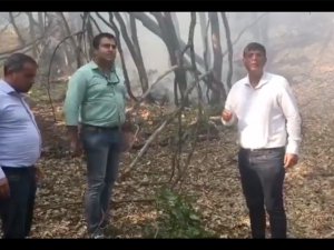 Milletvekili Şaroğlu’ndan tepki: Dersim ormanları da bu ülkenin ormanıdır VİDEO