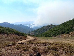 Belediye Başkanı Maçoğlu: Yangına müdahale etmemiz engelleniyor