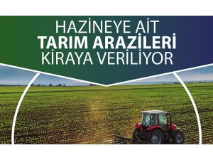 Hazineye ait taşınmazların satışı ve kiraya verilmesi ihalesi yapılacaktır