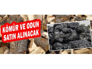 Kalorifer kömürü ve tutuşturmalık odun alınacaktır