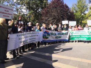 Ekoloji örgütleri yangınlara dikkat çekmek için Dersim'e geldi