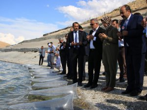 Elazığ’da 21 bin ton balık üretimi