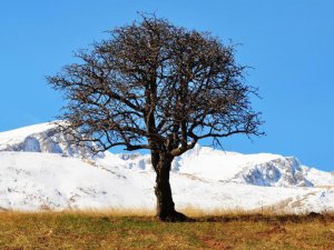 Yüksek kesimlere kar düştü