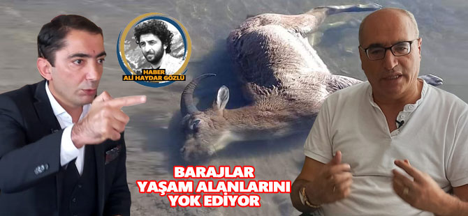 DOSYA HABER-3 Dersim'de Çevre Tahribatı: BARAJLAR