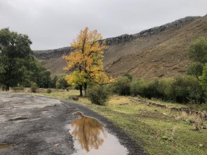 Kars’ta Sonbahar’da renk cümbüşü yaşanıyor