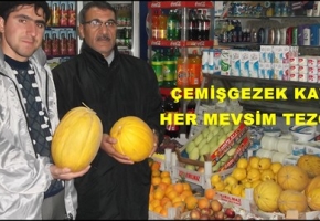 Çemişgezek Kavunu Her Mevsim Tezgahta