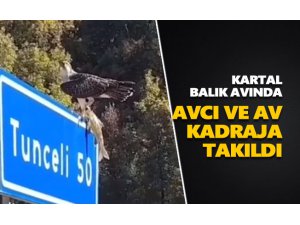 Kartal balık avında