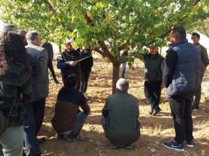 "Iğdır meyveciliğinde budama ve aşılama eğitimi’’ projesi