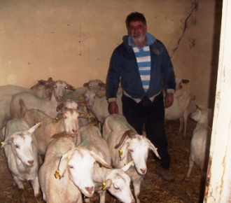 Sosyal Yardımlaşma ve Dayanışma Vakfı’ndan vatandaşlara hayvan desteği