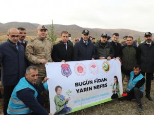 Bitlis’te fidan dikme seferberliği