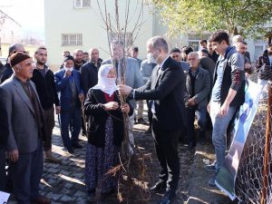 Hizan’da 22 bin meyve fidanı dağıtıldı