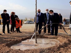 İnönü üniversitesinde yeni açılan bulvar ağaçlandırılıyor