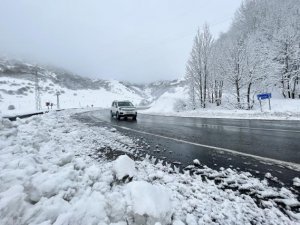 Pülümür ilçesinde kar kalınlığı 15 santimetreye ulaştı