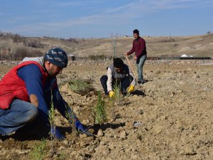 Ahlat Lavanta Parkı Projesi fotoğraf turizmine katkı sunacak