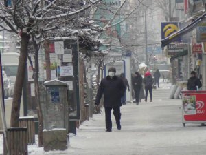 Kars eksi 18’i gördü, ağaçlar kırağı tuttu