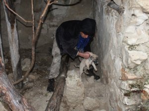 Toprak altında mahsur kalan yavru köpekleri belediye ekipleri kurtardı