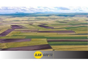 Elazığ Merkez'de 7 adet arsa ihale yoluyla satılacaktır