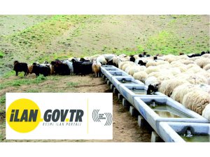 Hayvan gölgeliği, sıvat, kaşınma kazığı ve tuzluk yaptırılacaktır