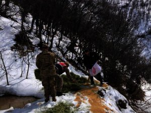 Jandarma sahipsiz hayvanlar için yemleme çalışması yaptı