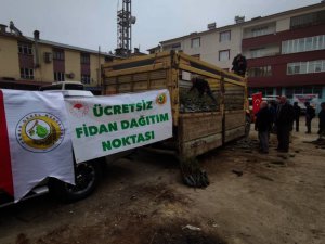 Vatandaşlara ücretsiz 11 bin fidan dağıtıldı