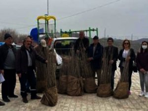 14 çiftçiye bin 300 adet bedelsiz dut fidanı dağıtıldı