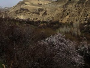 Dersim’de DSİ projesine tepki: Gölet istemiyoruz
