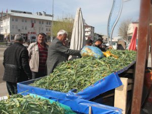 Topladıkları bitkileri satarak geçimlerini sağlıyorlar