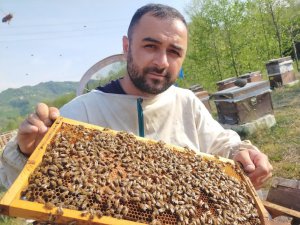 En ballı ilde arıcılar sezona hazır