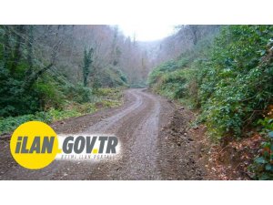 B tipi orman yolu yaptırılacaktır