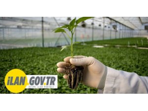 Fidanlık üretim malzemeleri alınacaktır