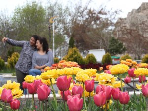 Van’da caddeler ve parklar rengarenk oldu