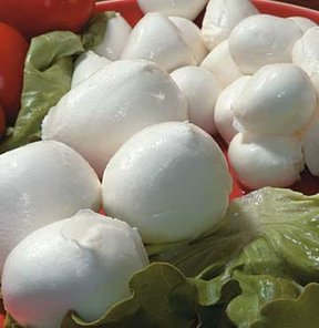 Mozzarella'nın da 'helal'i geliyor