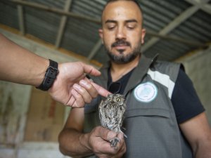 Yaralı bulunan İshak kuşu tedavi altına alındı