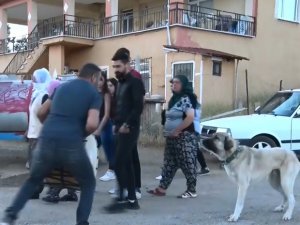 Davul çalıyordu, köpeğin havlaması ile neye uğradığını şaşırdı