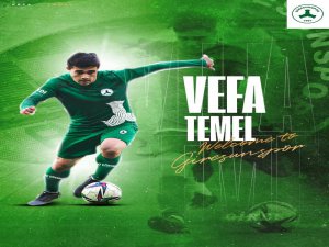 Vefa Temel, Giresunspor’da