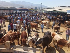 Malatya Kurban Pazarı'nda arife yoğunluğu