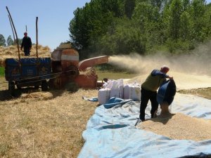 Çiftçilerin kış hazırlıkları başladı