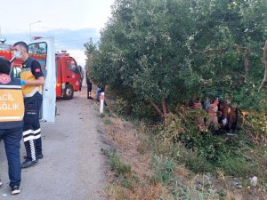 Kontrolden çıkan araç meyve bahçesine daldı