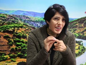 Dersim’de intiharlar üzerine: İvedilikle toplumsal travma merkezi oluşturulmalı