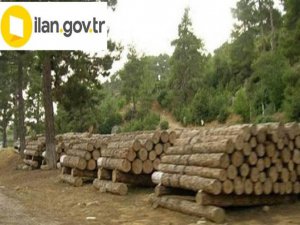 Odun satın alınacaktır