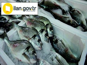 Gıda ürünleri alınacaktır