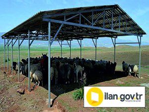 Hayvan gölgeliği tuzluk ve kaşınma kazığı yaptırılacaktır