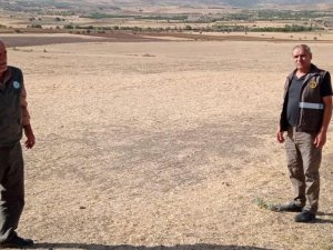 Elazığ'da kaçak avcı denetiminde bıldırcın sesi çıkaran cihaz ele geçirildi