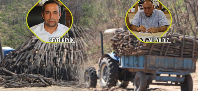 Hozat’taki ağaç katliamı 4 aydır hız kesmeden sürüyor