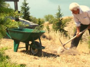 38 yılda 30 bin ağaç dikmişti, 'Merhamet ve emek' ödülüne layık görüldü