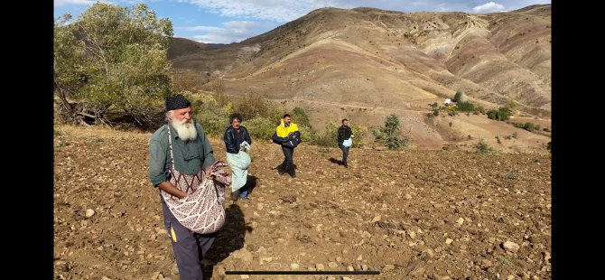 Dersim ve Erzincan'da karakılçık buğdayındaki son durum