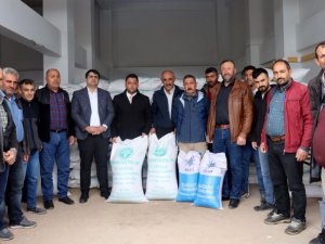 Tercan’da 515 çiftçiye yüzde 75 hibeyle 70 ton güzlük buğday ve 50 ton arpa dağıtımı yapıldı