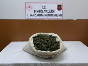 Bingöl’de narkoterör operasyonu: 32 bin kök kenevir ele geçirildi